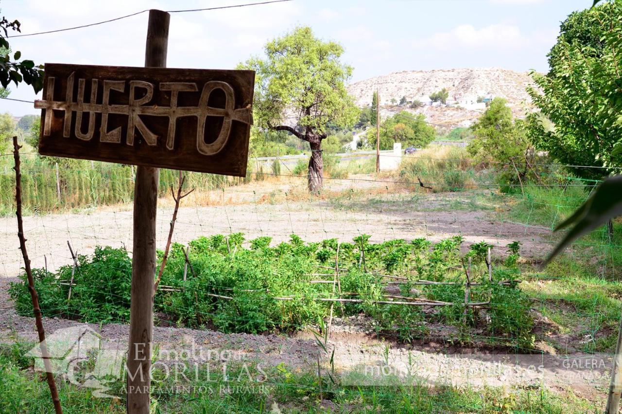 Apartamentos Rurales El Molino De Morillas Galera ภายนอก รูปภาพ