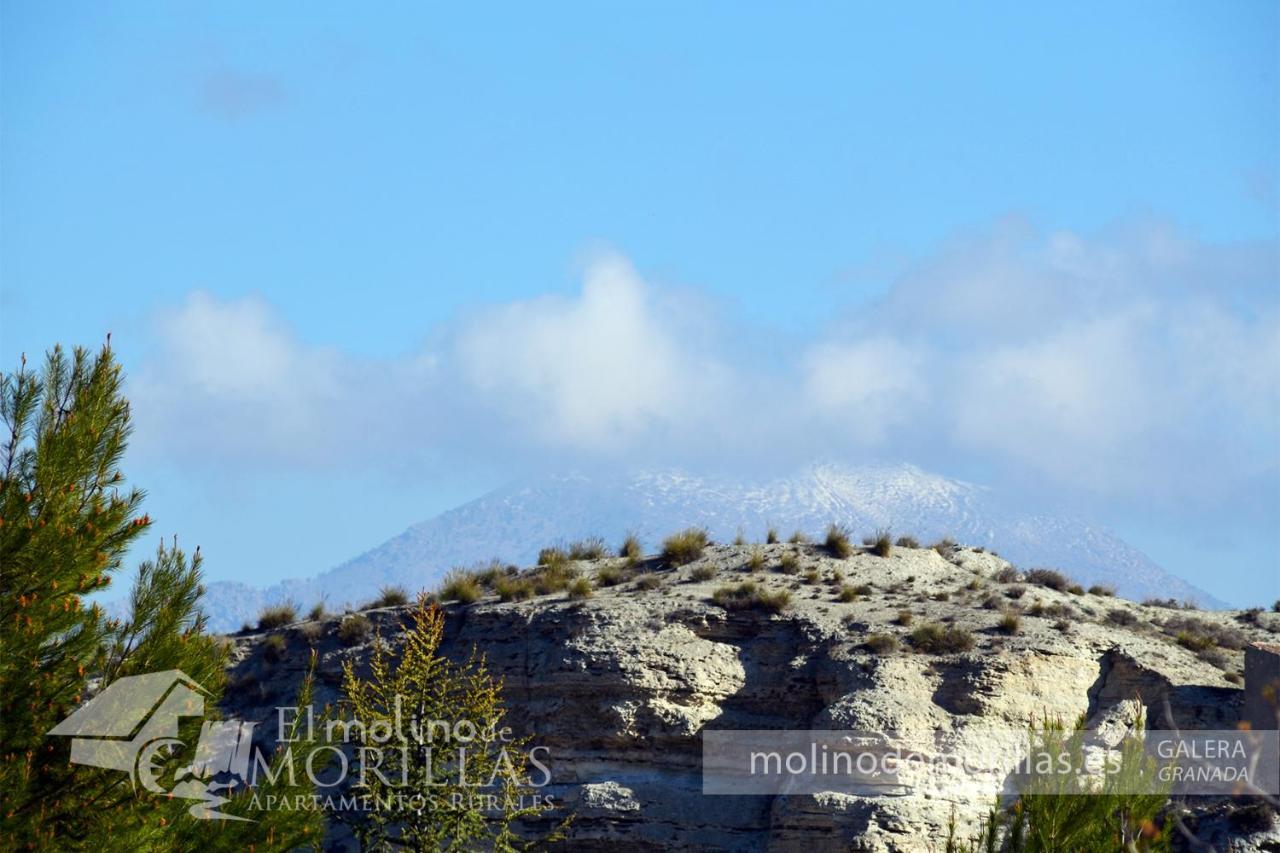 Apartamentos Rurales El Molino De Morillas Galera ภายนอก รูปภาพ